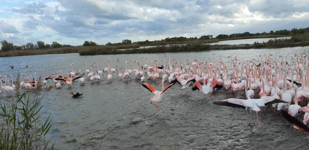 L'Effet Mer Arles Bagian luar foto