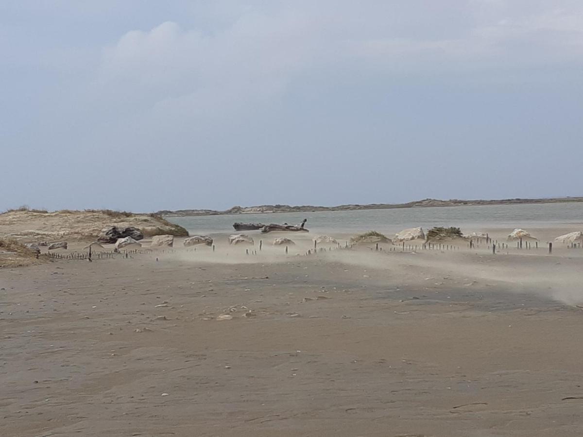 L'Effet Mer Arles Bagian luar foto